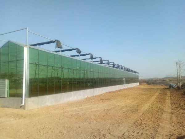 河北西柏坡案例